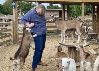 Trip to Quex Farm