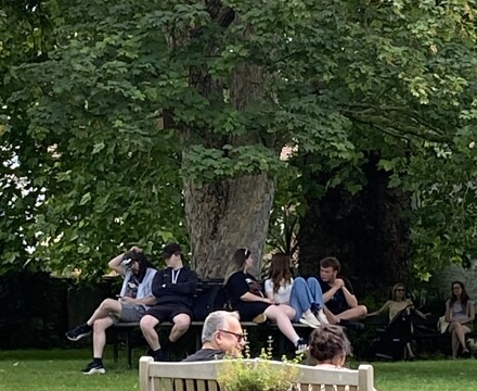 IMG 0551